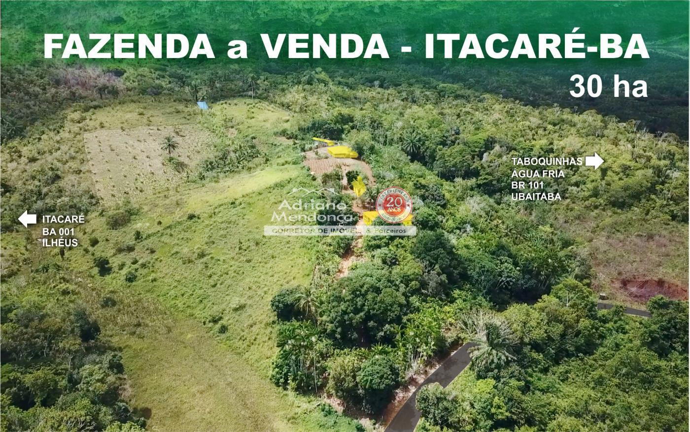 Fazenda cacau a venda Itacar Bahia