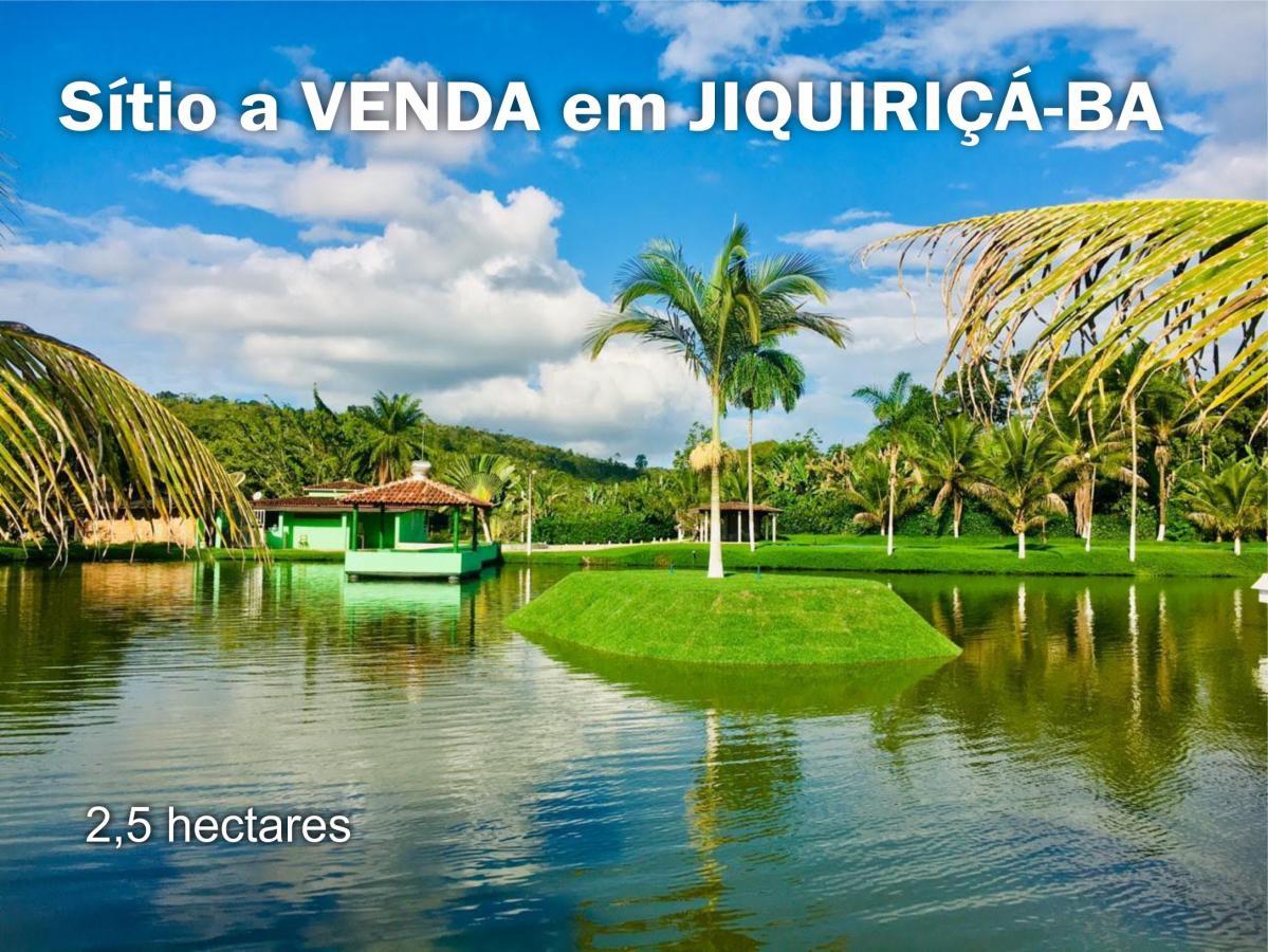 Sitio a venda em Jiquiria Bahia