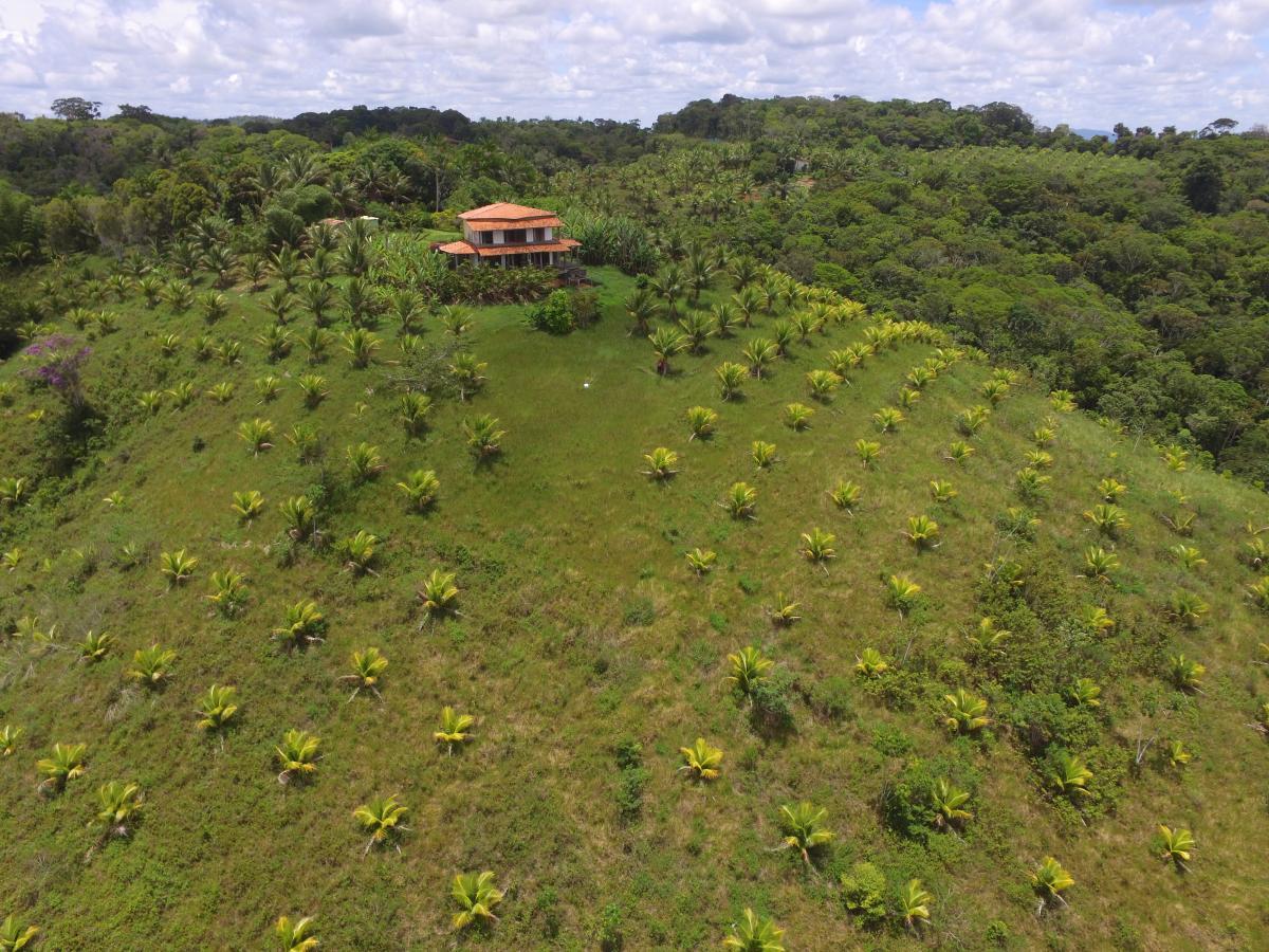 Fazenda a venda Itacar� Bahia