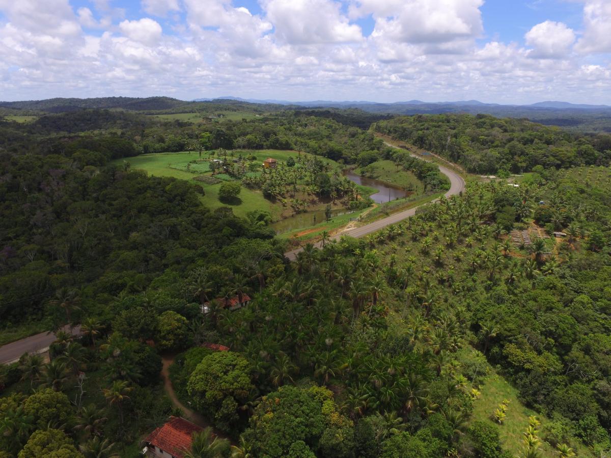 Vista maravilhosa da Mata Atl�ntica em Itacar�