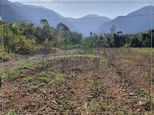 Vende-se Terreno em Schroeder-SC - Terrenos, sítios e fazendas