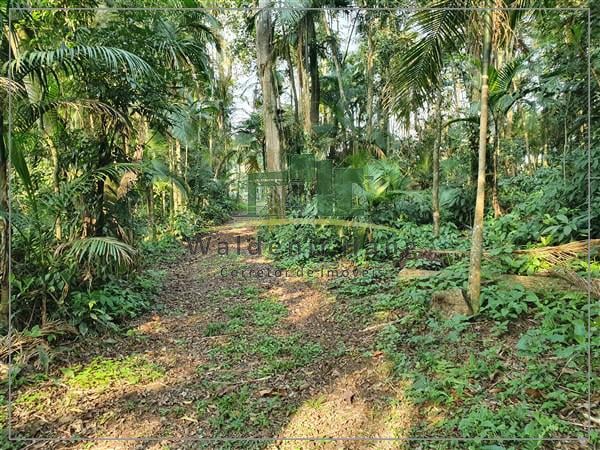 TERRENO, SCHROEDER - SC Urbanos em leilão