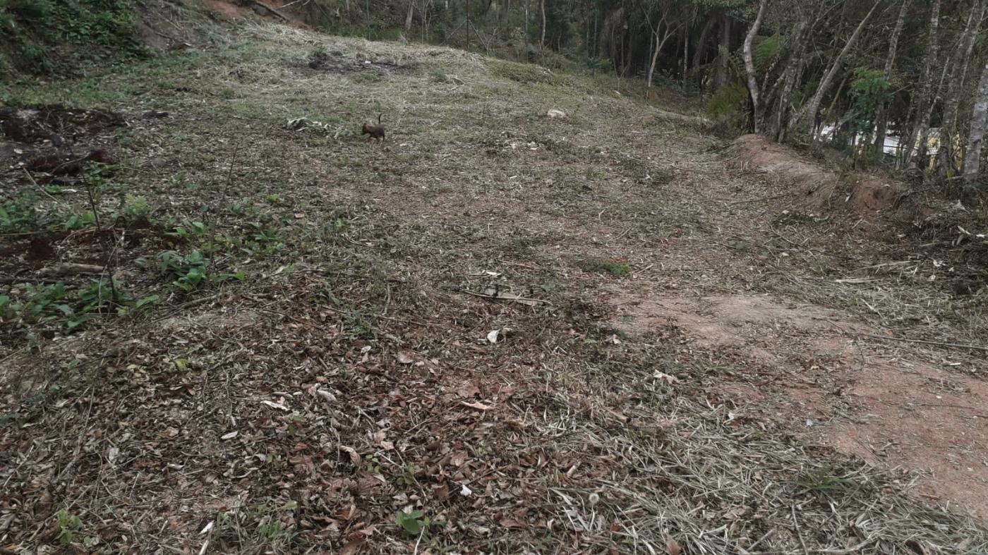 Terreno bairro cerejeira Guararema