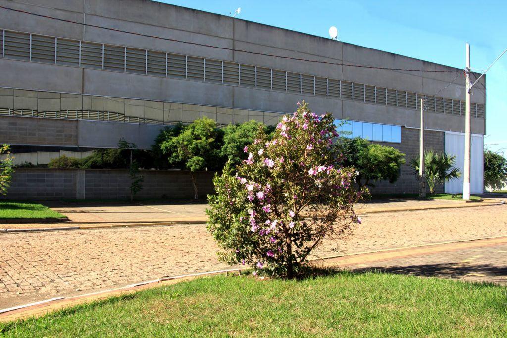 Galpão Locação Paulínia - Próximo Replan e Campinas - Indústria ou Logística - Rod Dom Pedro Bandeirantes Anhanguera