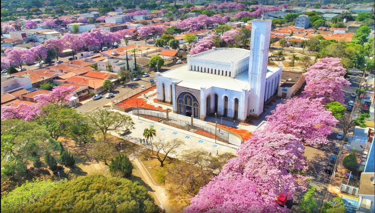 Área Industrial / logística a venda Paulínia - Replan, Rodovias Zeferino Vaz, Dom Pedro, Bandeirantes, Anhanguera e SP-330 