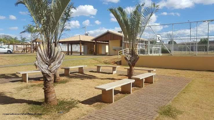 imagem-miniatura