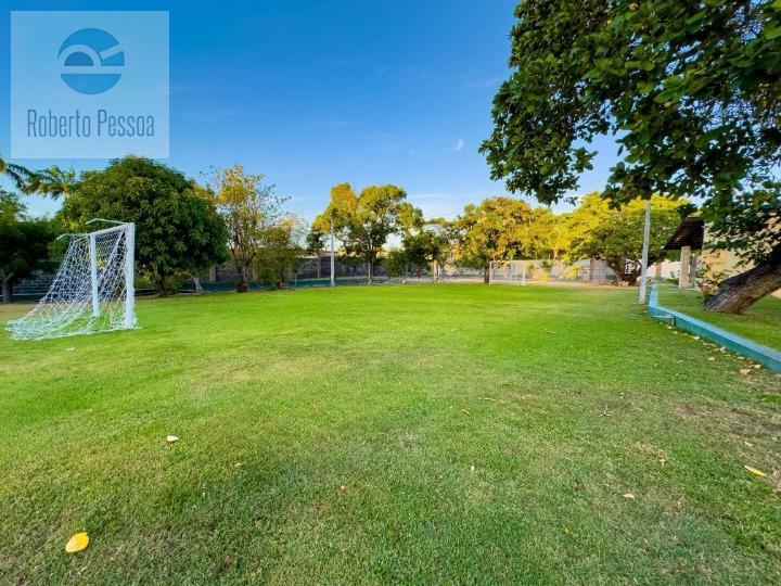 campo de futebol gramado