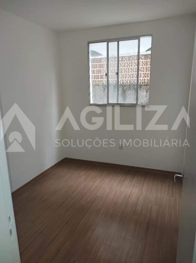 imagem-miniatura