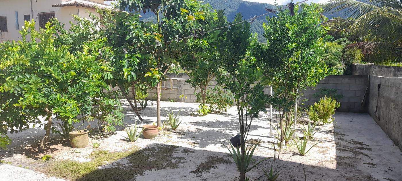 Quintal com plantas frutferasde