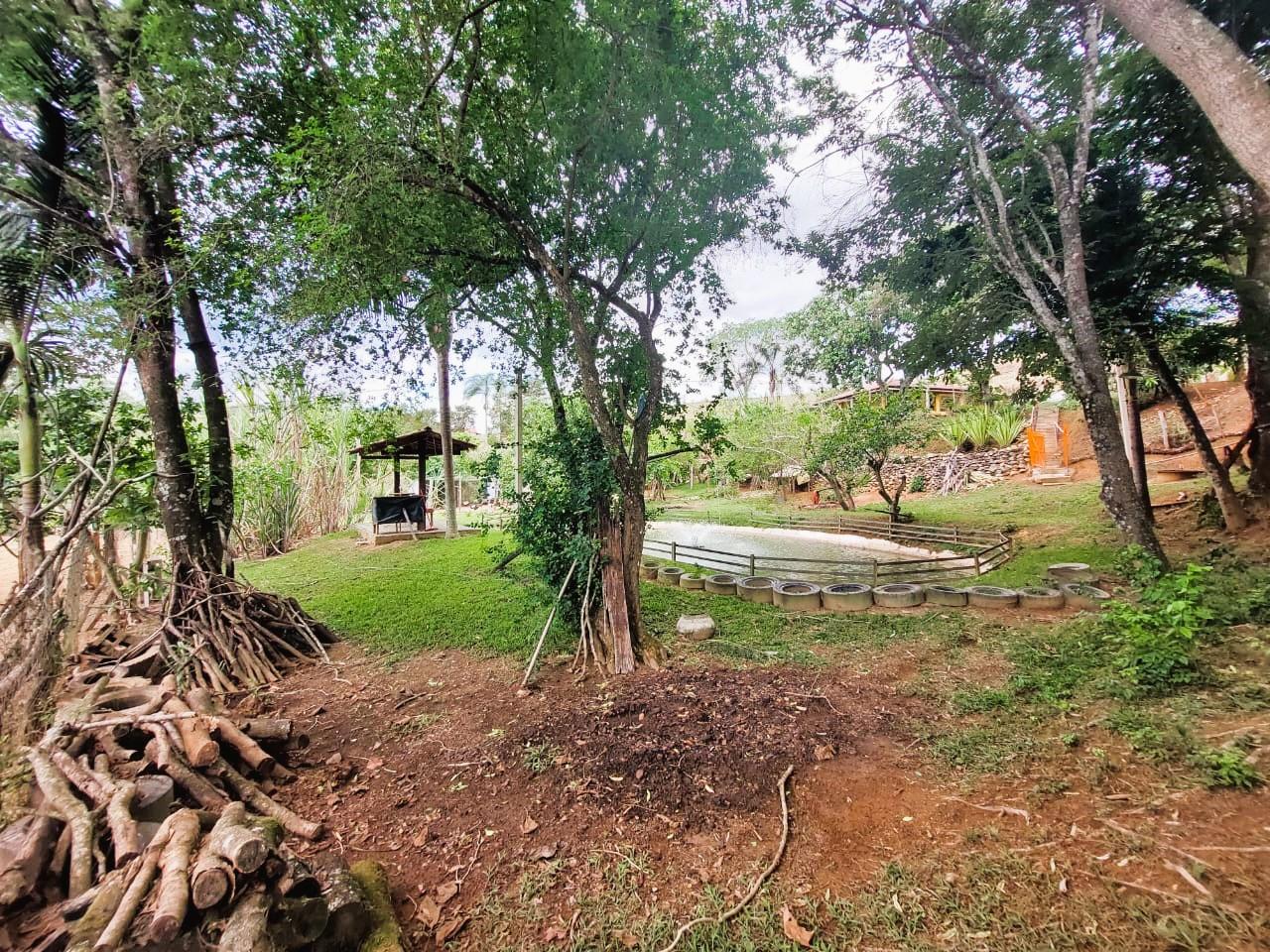 vista da rea