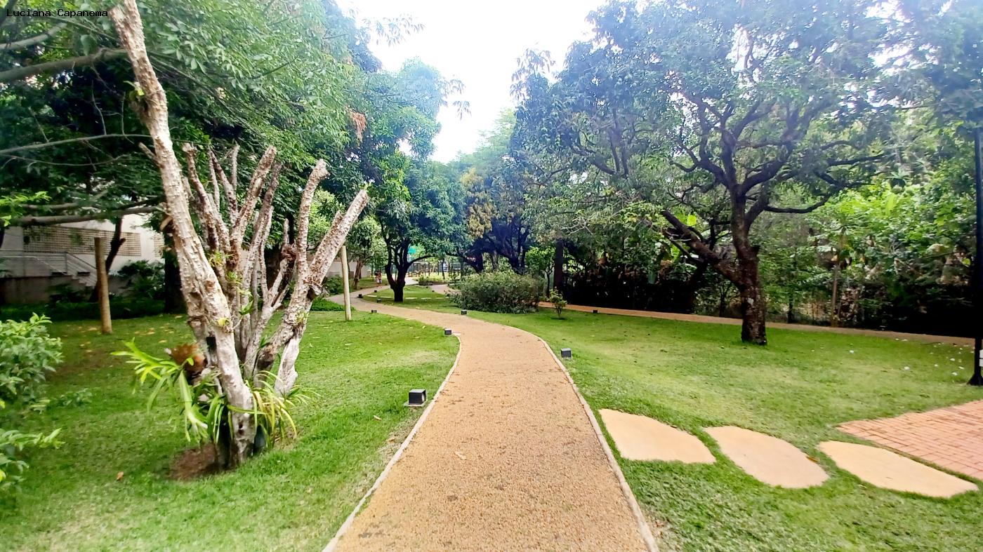 Bosque - espao para caminhada