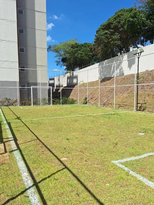 imagem-miniatura