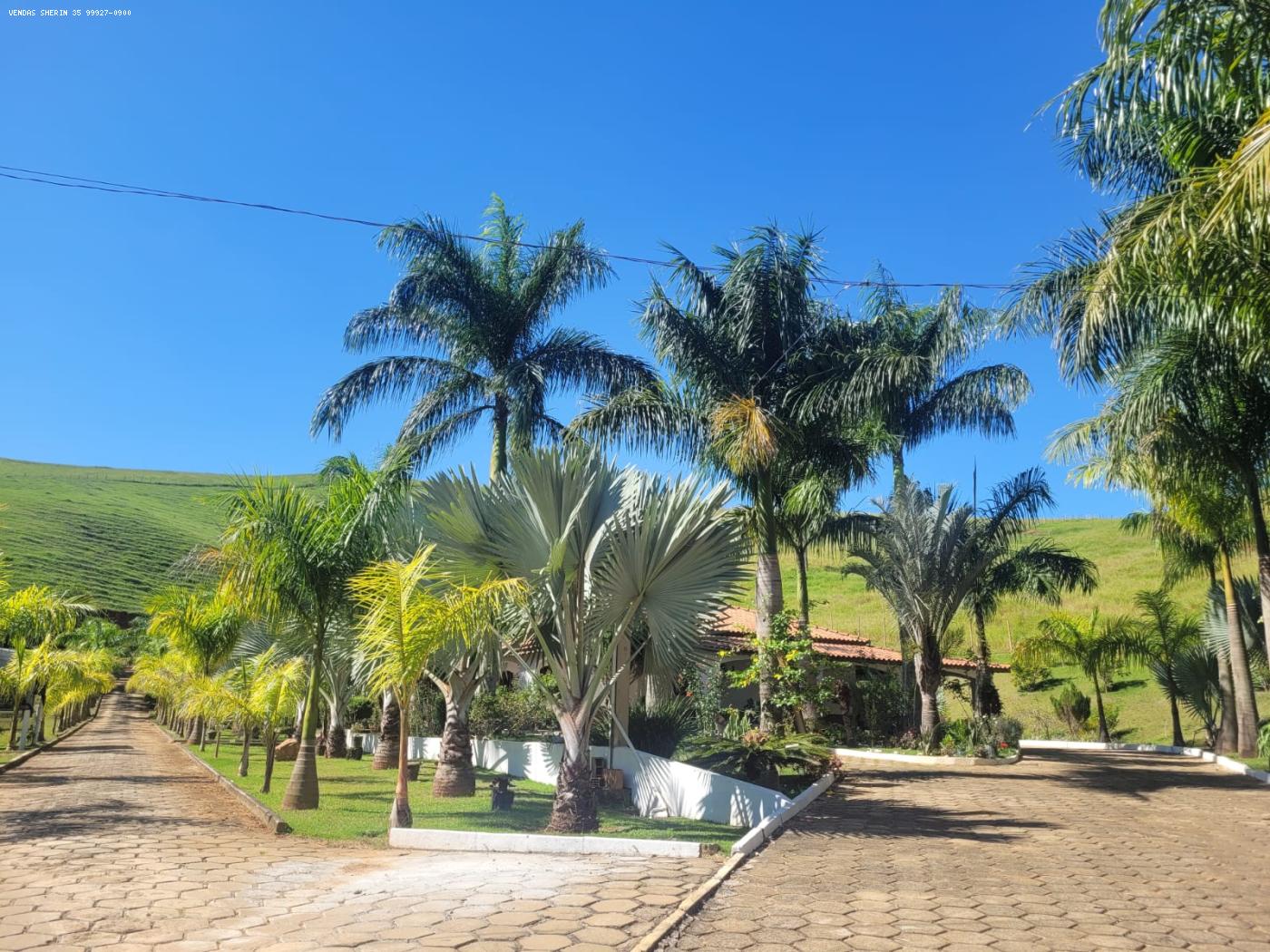 chegando na casa belo jardim