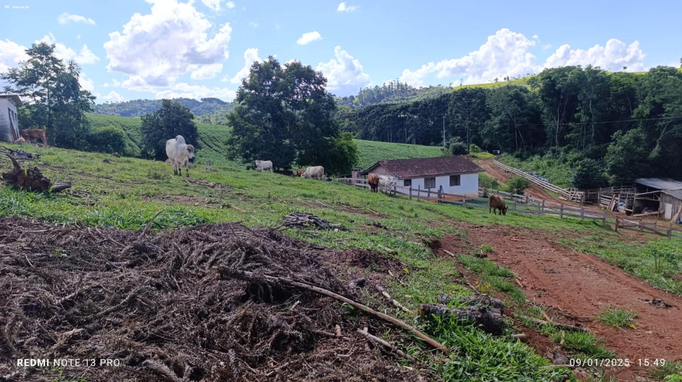 Chcara para Venda em Ponta Grossa, Itaiacoca