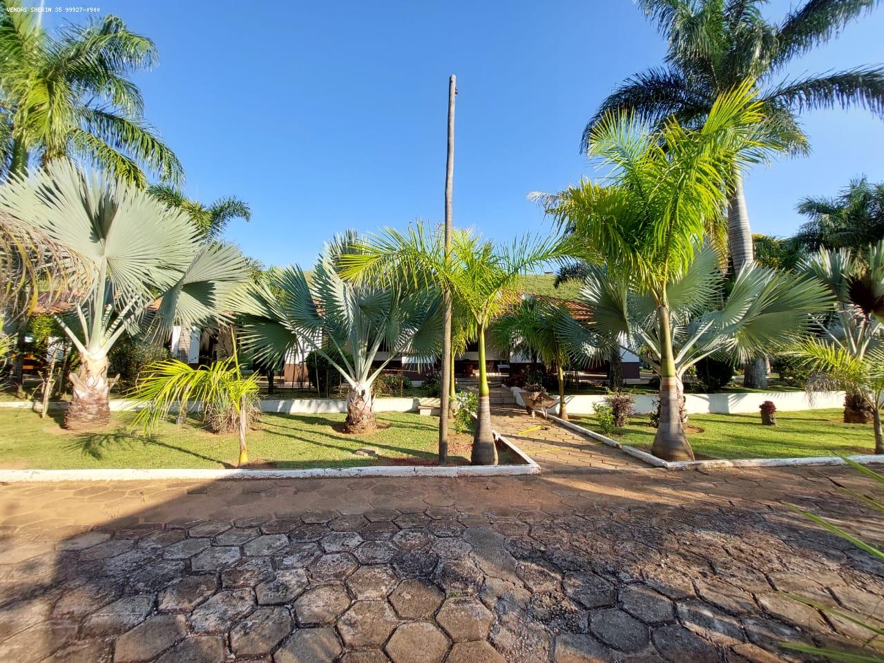 jardim