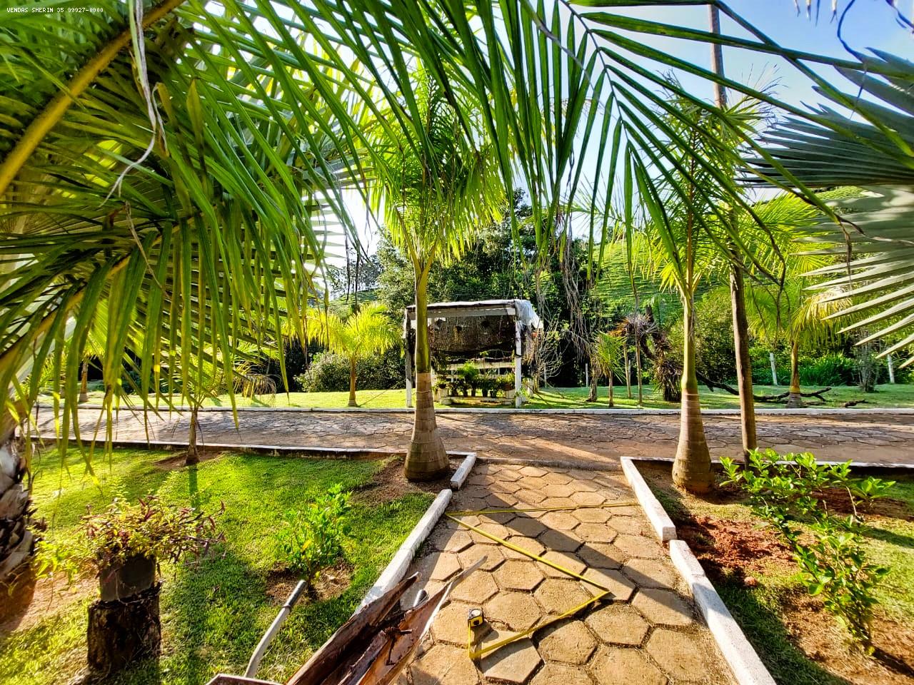 calamento entre o jardim