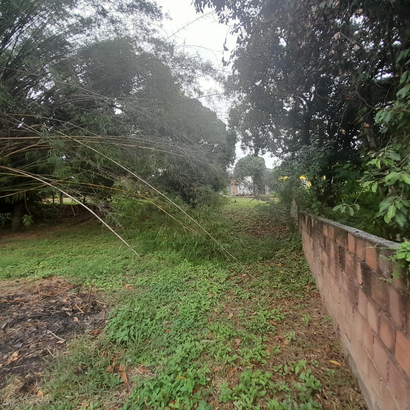 Lateral direita, fundos para frente