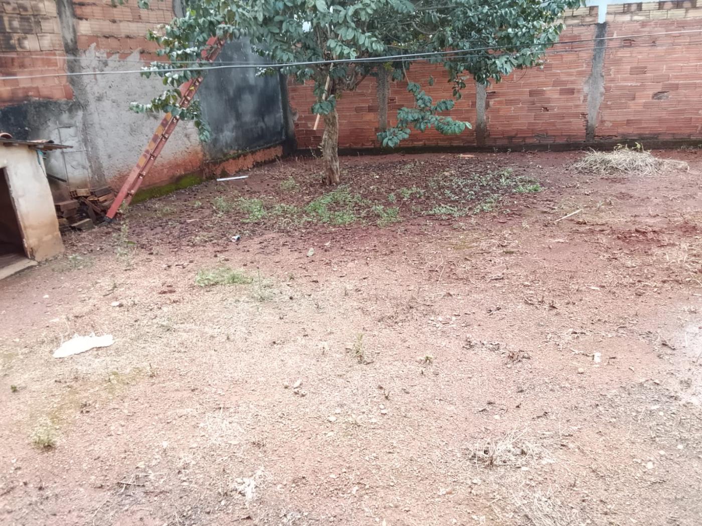 imagem-miniatura