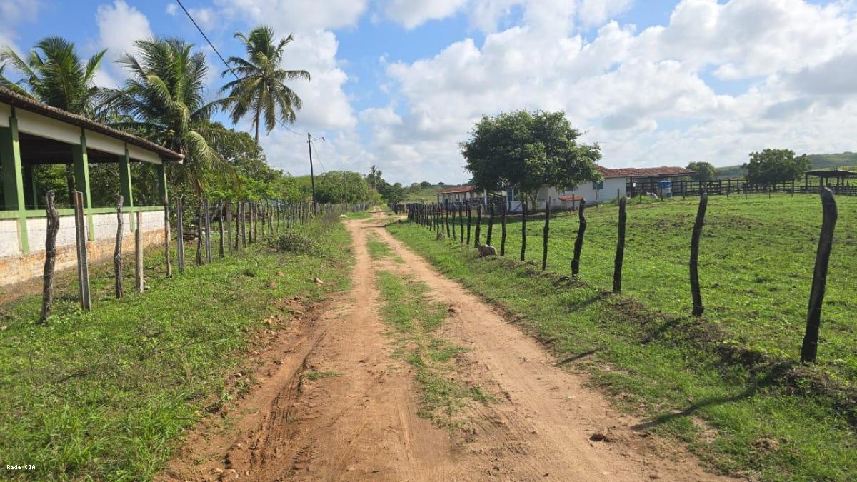 Rua de acesso a BR-406