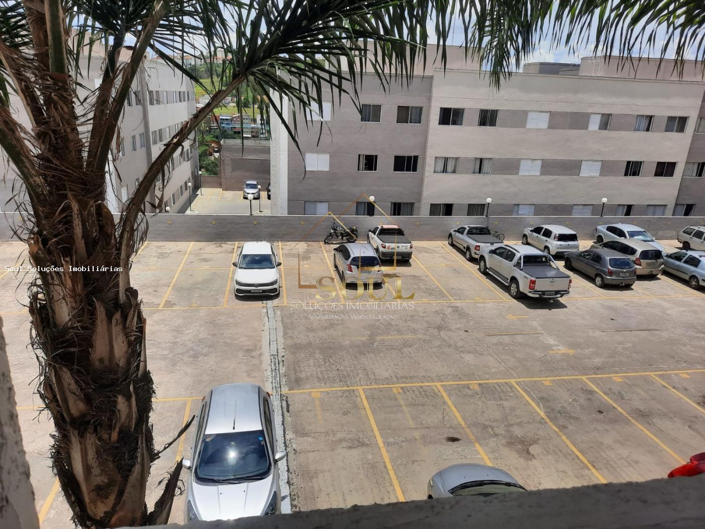 imagem-miniatura