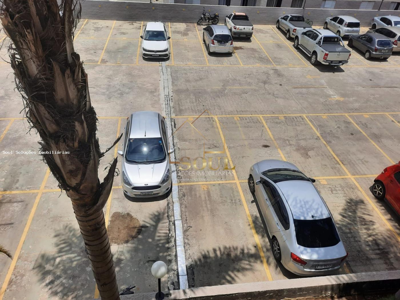 imagem-miniatura