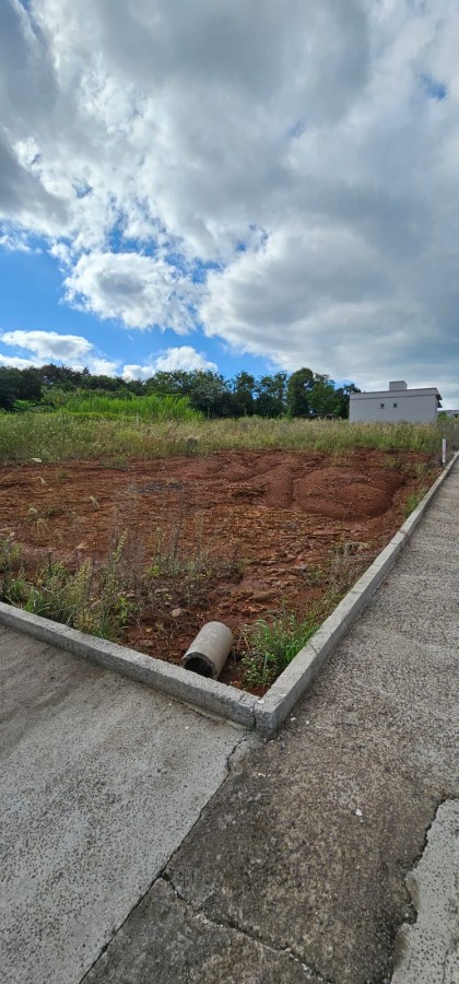 imagem-miniatura