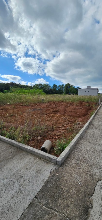imagem-miniatura