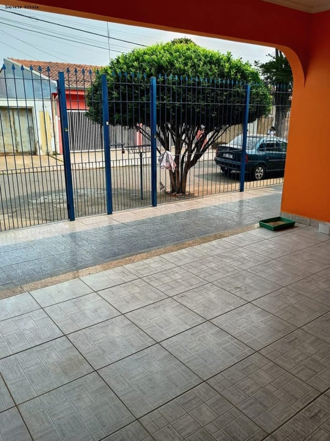 imagem-miniatura