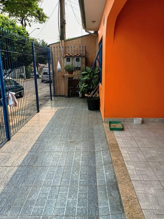 imagem-miniatura