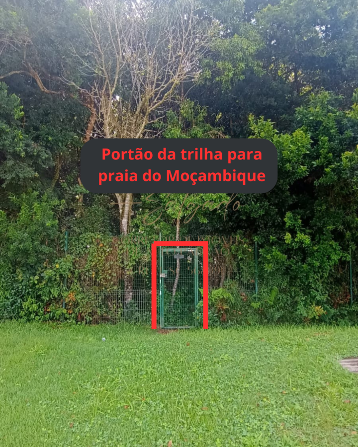 Trilha para a Praia do Moambique