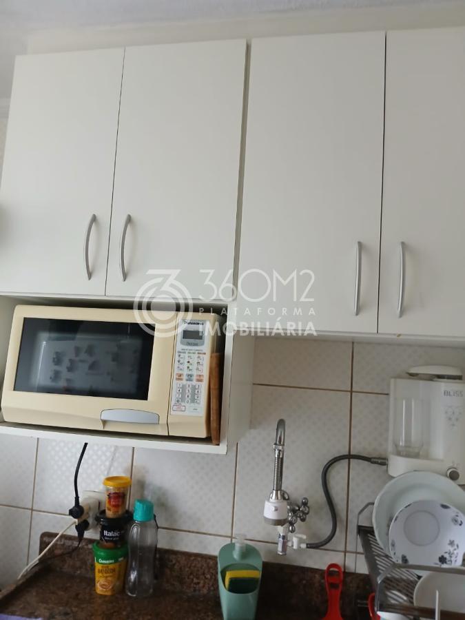 imagem-miniatura