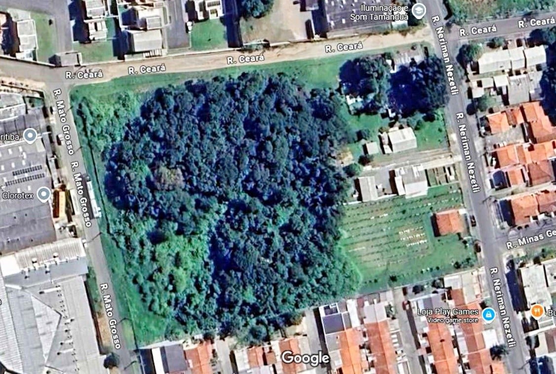 imagem-miniatura