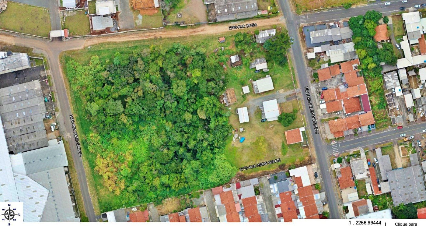 imagem-miniatura