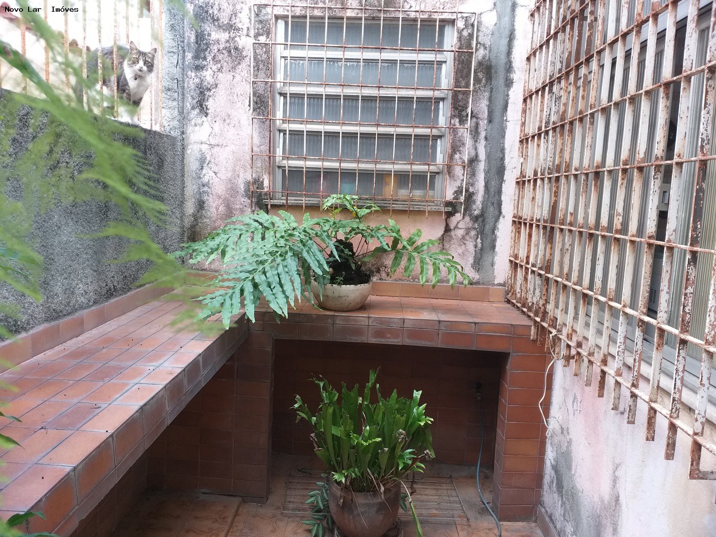 imagem-miniatura