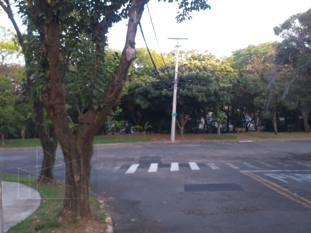 imagem-miniatura