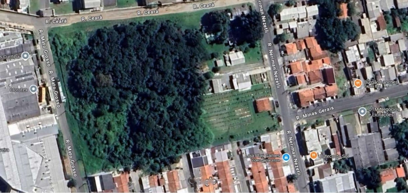 imagem-miniatura
