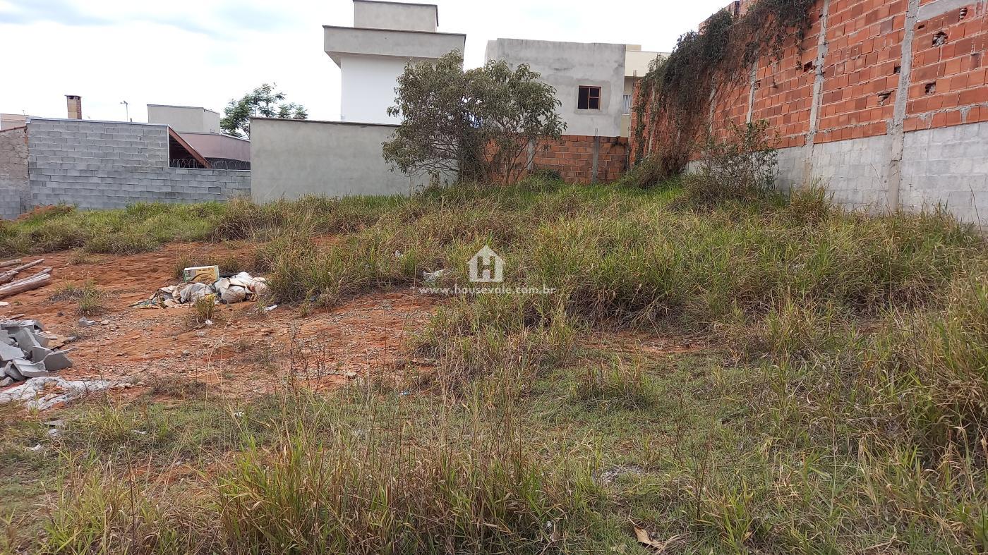 imagem-miniatura