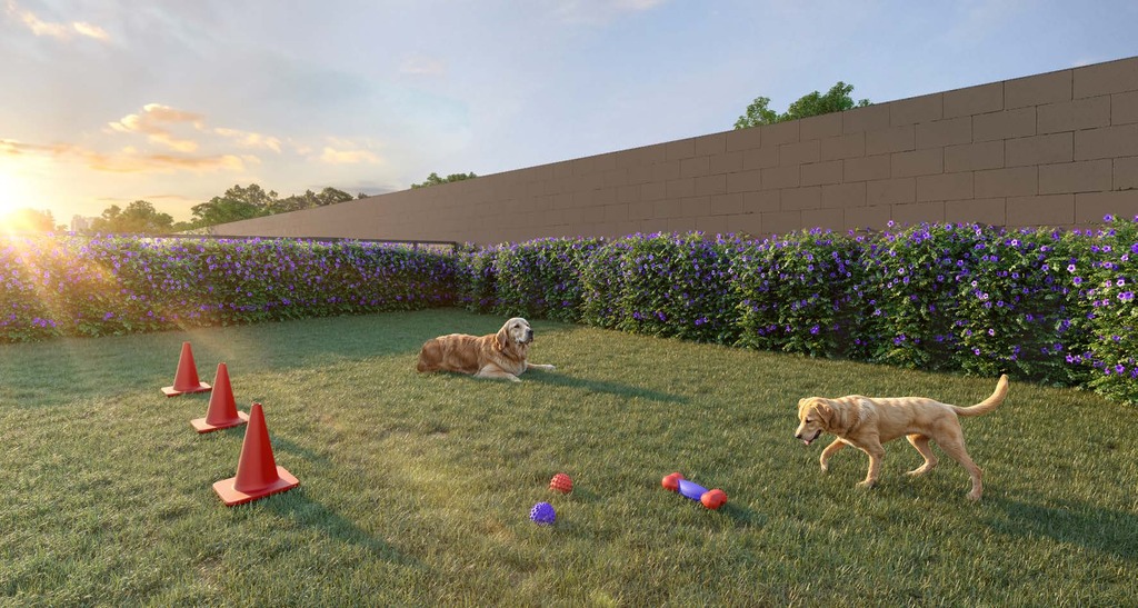 Pet place