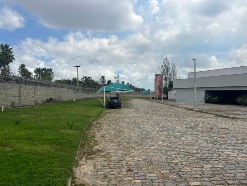 imagem-miniatura