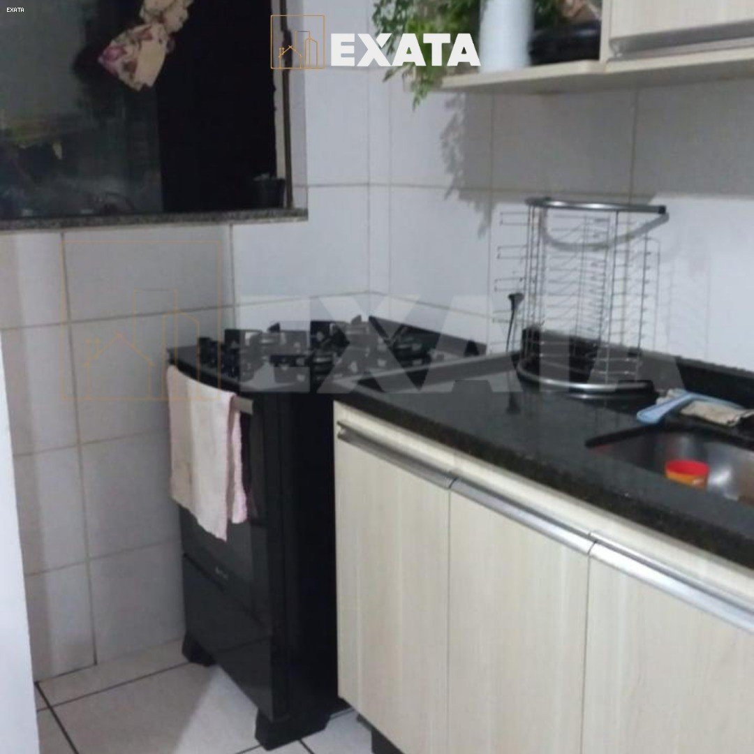 imagem-miniatura