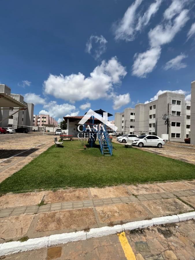 imagem-miniatura