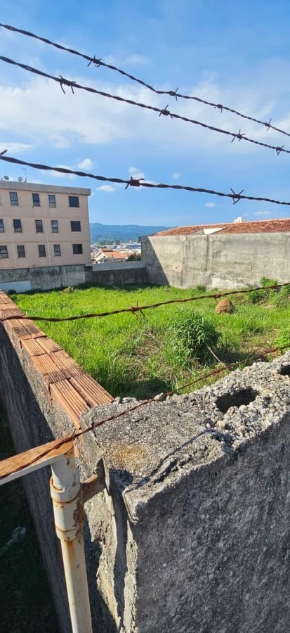 imagem-miniatura