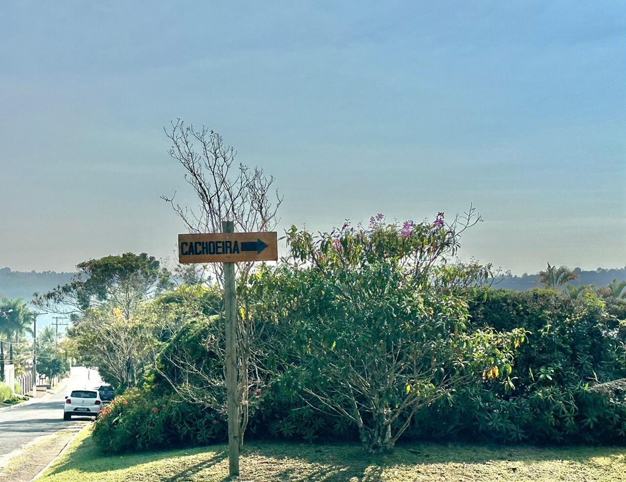 imagem-miniatura