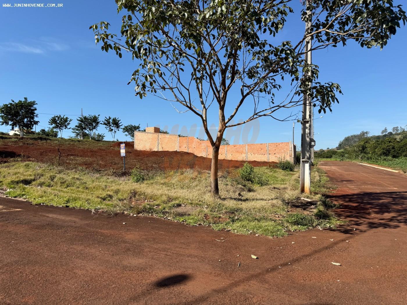 Lote 01 Quadra 08