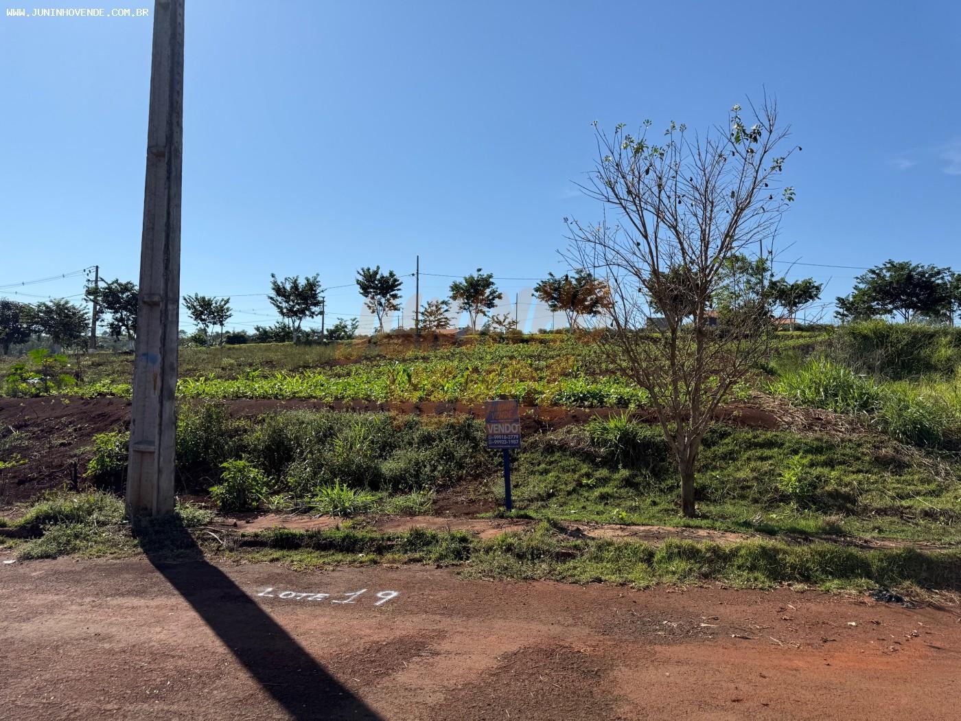 lote 19 Quadra 08
