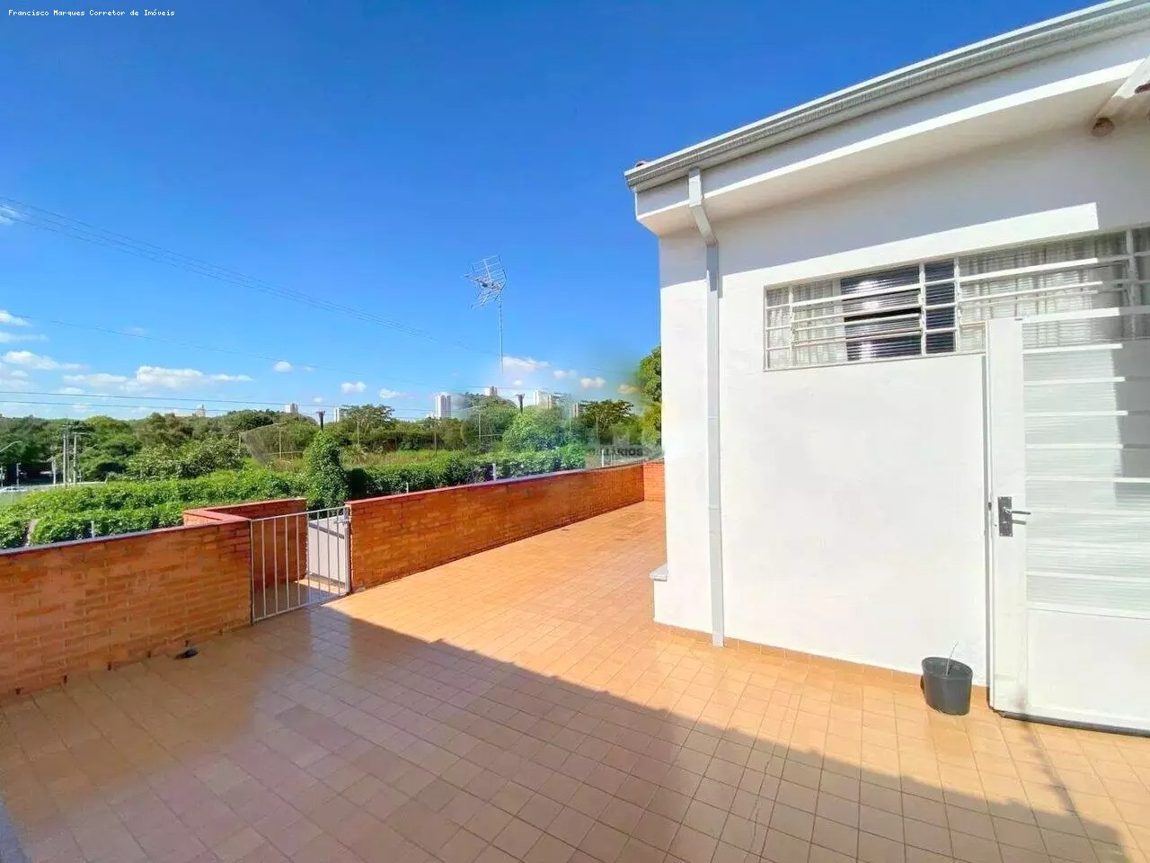 imagem-miniatura