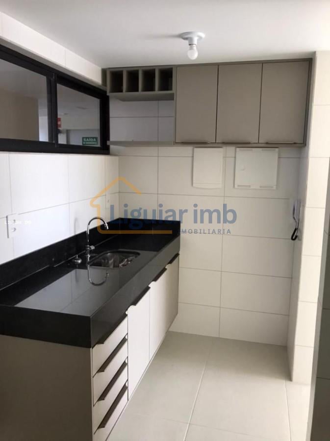 imagem-miniatura