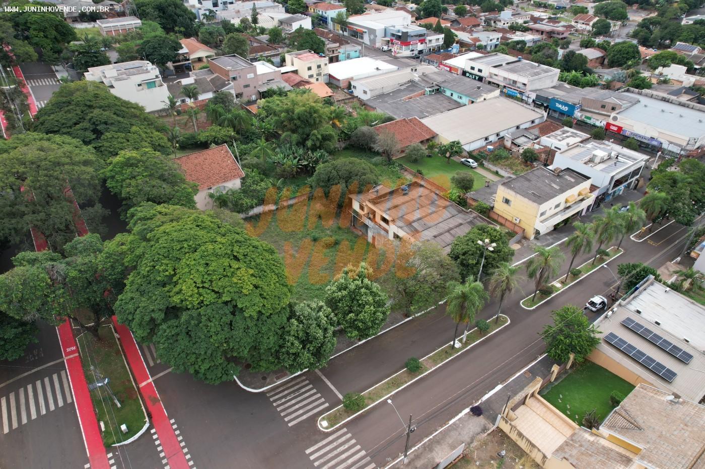 imagem-miniatura