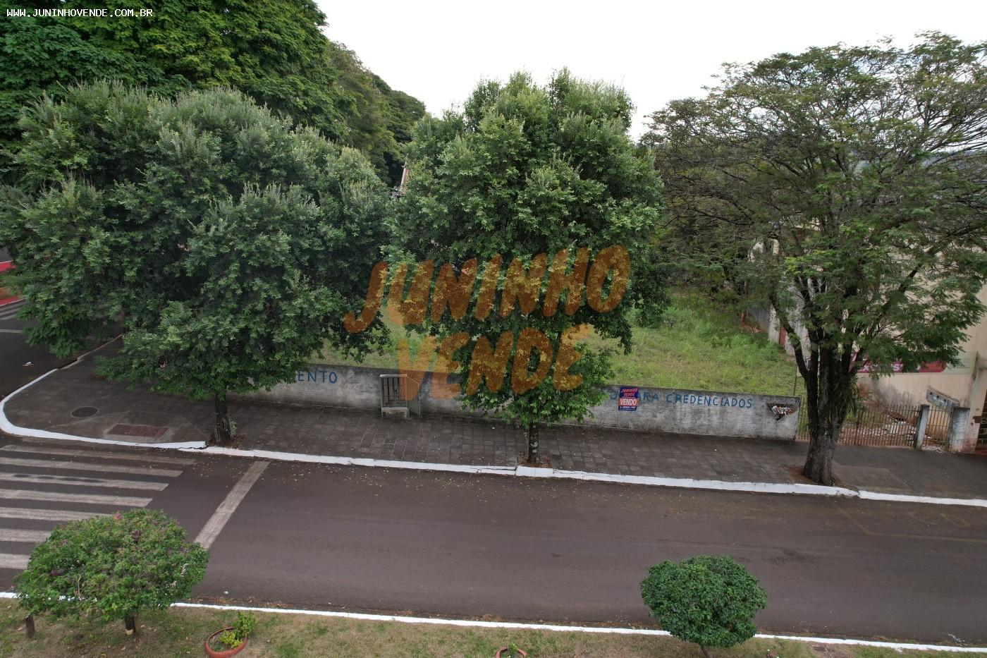 imagem-miniatura