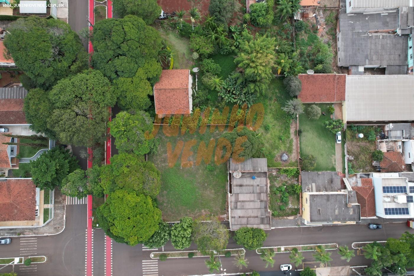 imagem-miniatura